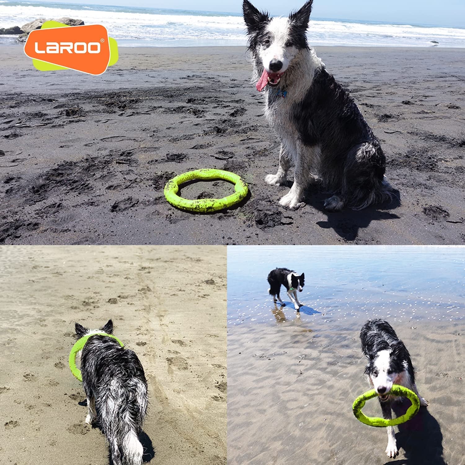 LaRoo Indestructible Dog Flying Ring – Durable, Lightweight & Safe Chew Toy for Medium & Large Dogs 🐶🦴.