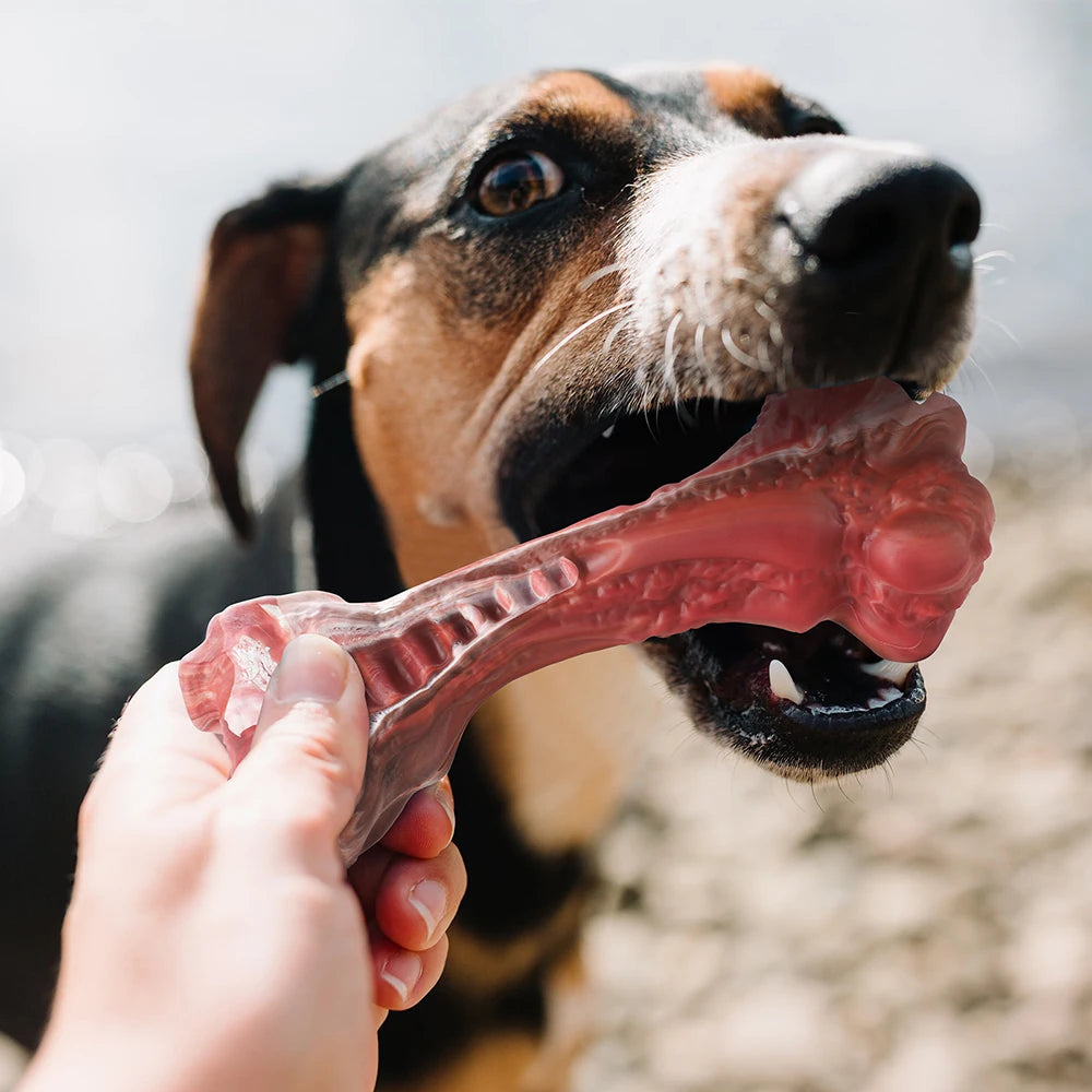 Indestructible Nylon Dog Chew Toy – Safe, Durable & Perfect for Aggressive Chewers 🐶🦴.