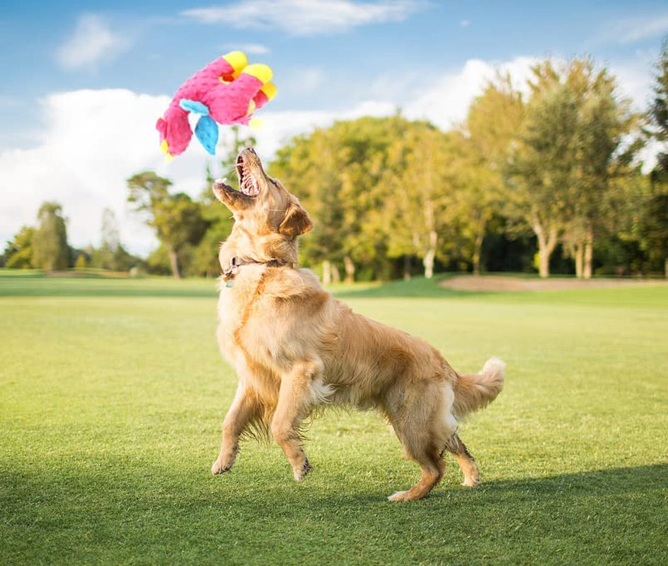 Sutex Plush Squeaky Dog Toy – Durable, Soft & Interactive Chew Toy for Small & Medium Dogs 🐶🦌.