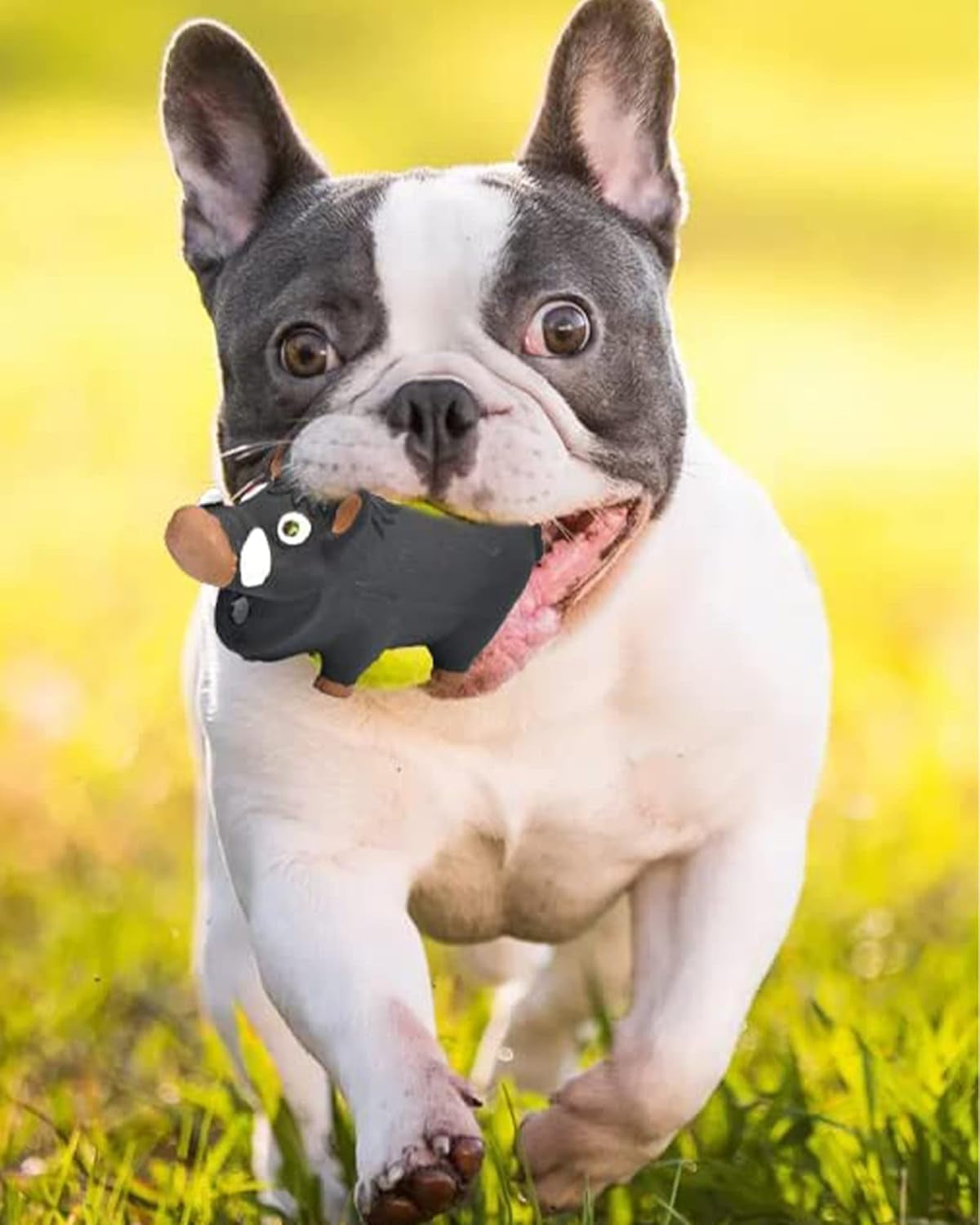 Ieohen Wild Boar Squeaky Dog Toy – Durable, Safe & Fun Interactive Chew Toy 🐶🐷.