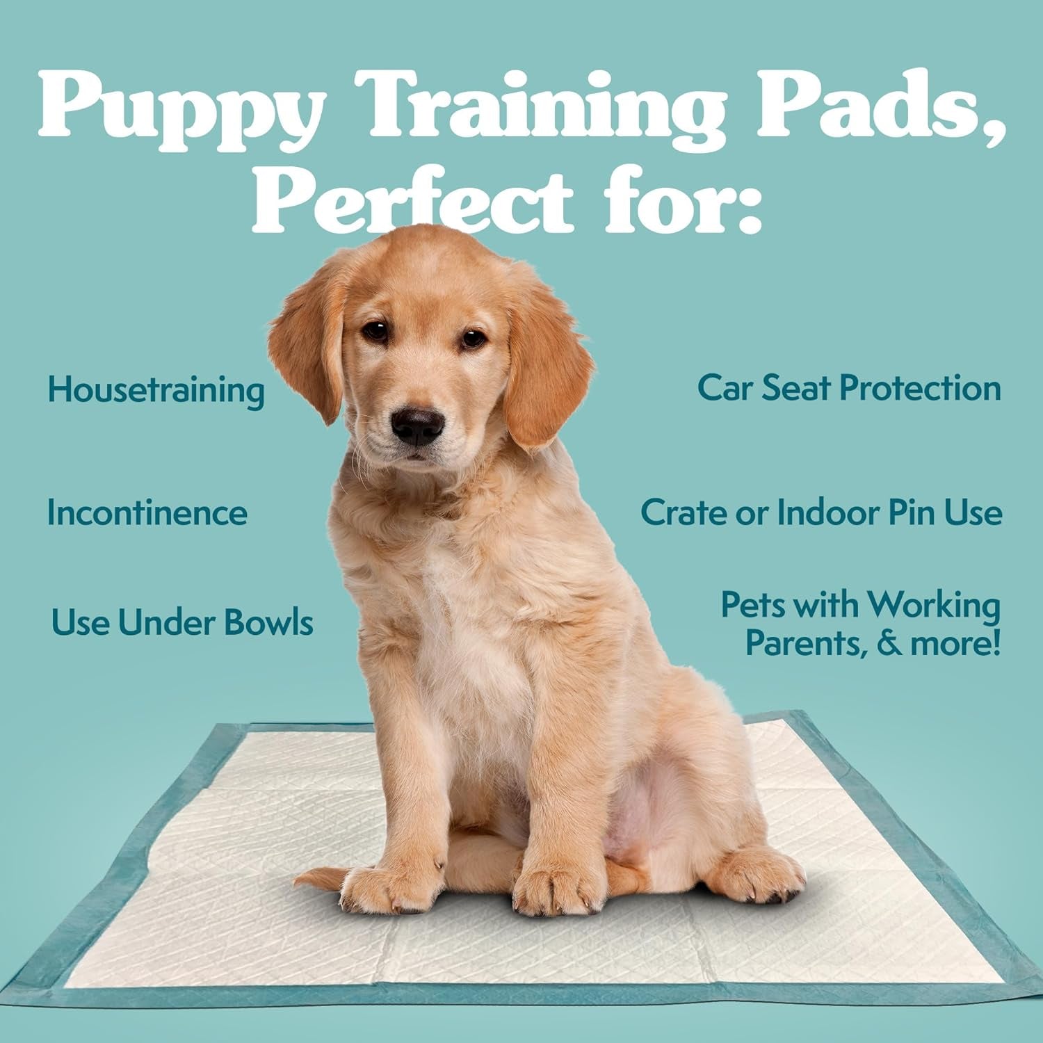 Extra Large Pee Pads for Dogs.