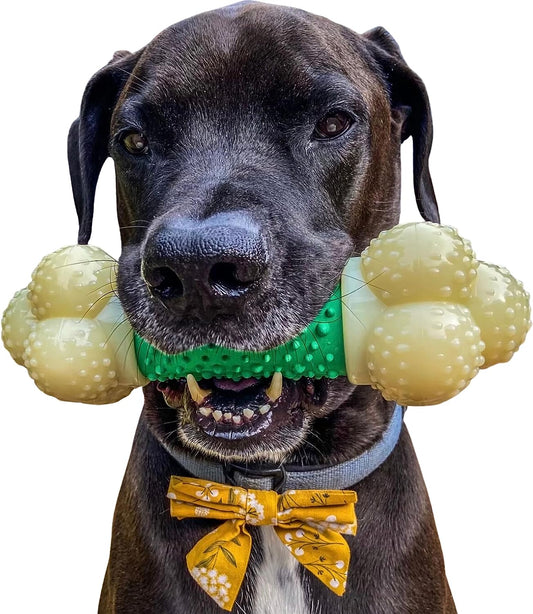 Nylabone Power Chew Dog Toy – Durable, Bacon-Flavored & Dental-Healthy for Aggressive Chewers 🐶🦴.