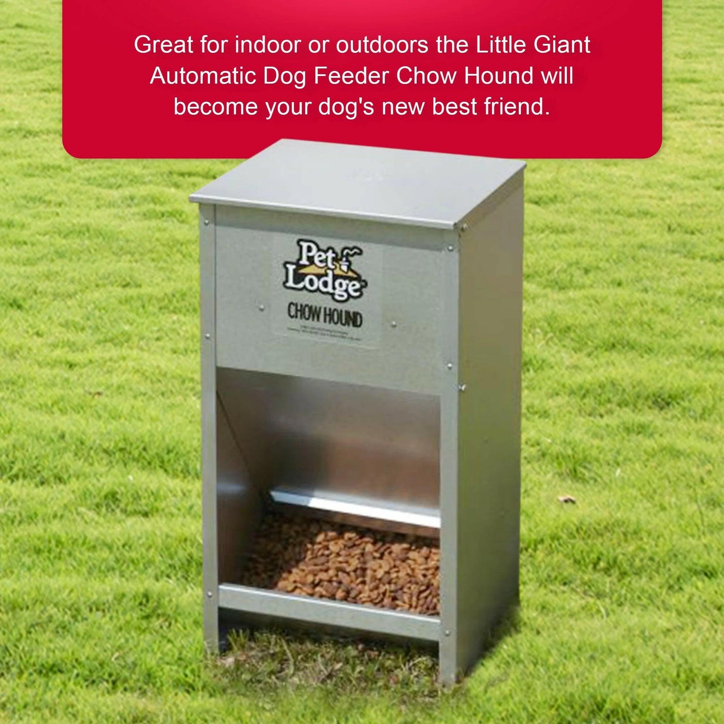 Dry Food Automatic Steel Dog Feeder Chow Hound 25 Pound Capacity