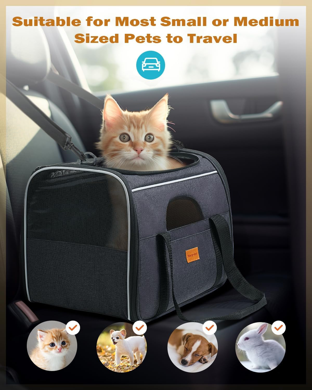 Morpilot Large Cat Carrier – Soft, Spacious & Airline-Approved Pet Travel Bag 🐱✈️.