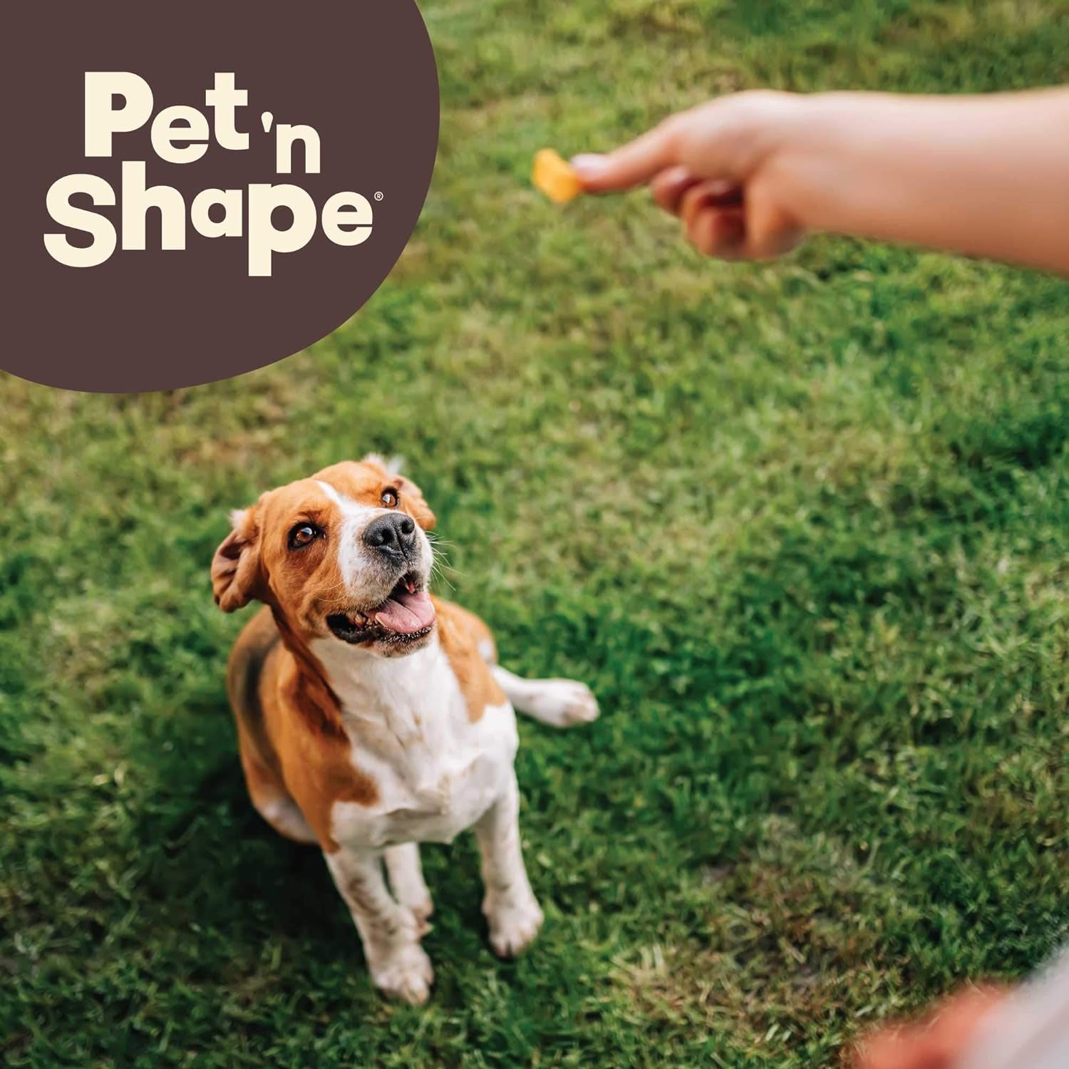 Pet 'n Shape Natural Beef Bones – Made in the USA, All-Natural & Grain-Free Dog Chews 🐶🦴.