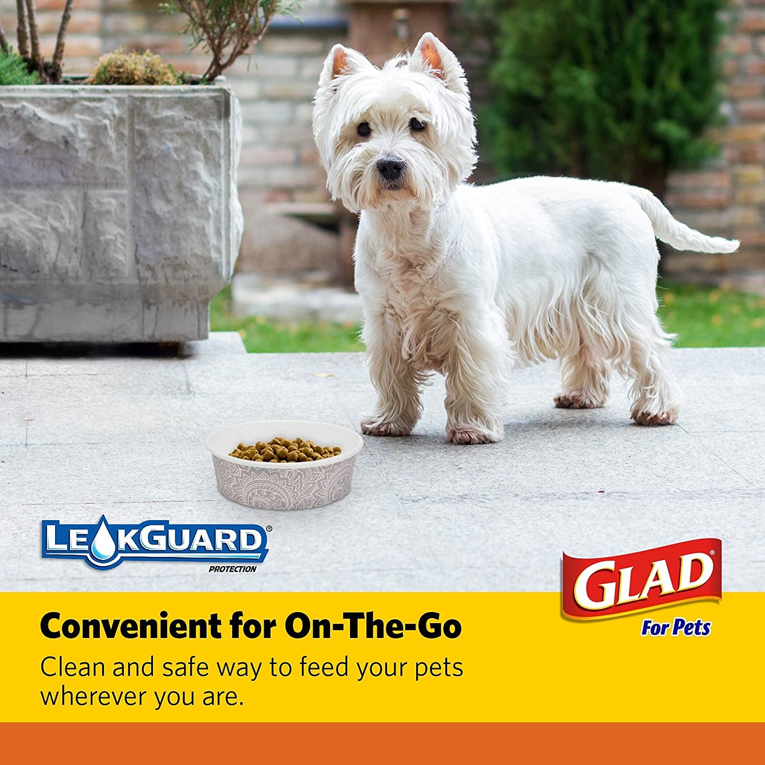 Glad for Pets Disposable Dog Food Bowls – Leak-Proof, Eco-Friendly & Perfect for Travel 🐶🌎.