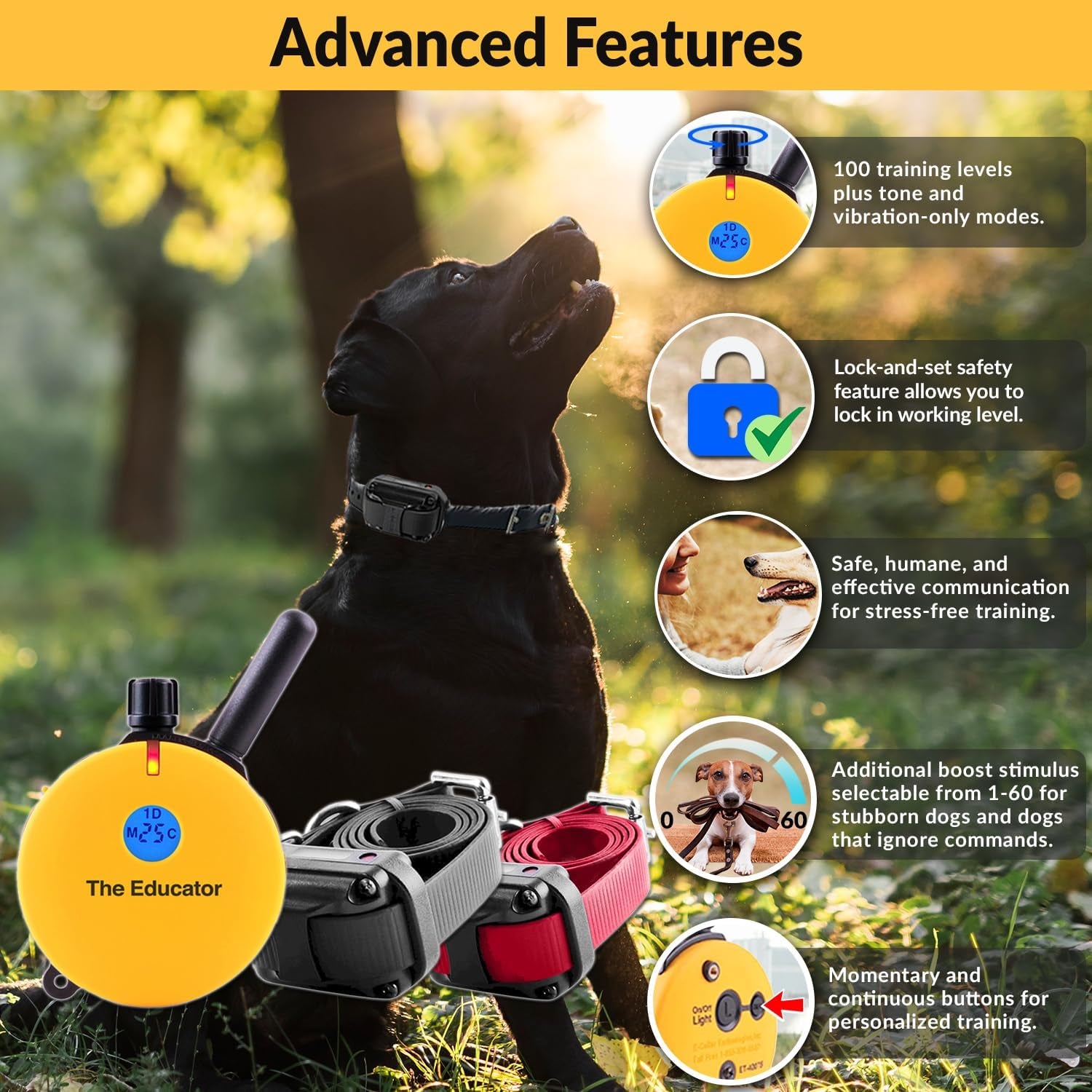 E-Collar Humane Dog Training Collar with Remote, 100 Safe Tapping Stimulation Levels, Night Light, Waterproof, Rechargeable, 3/4 Mile 2 Small-Medium Dogs, Yellow