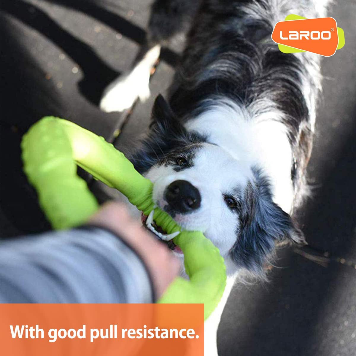 LaRoo Indestructible Dog Flying Ring – Durable, Lightweight & Safe Chew Toy for Medium & Large Dogs 🐶🦴.