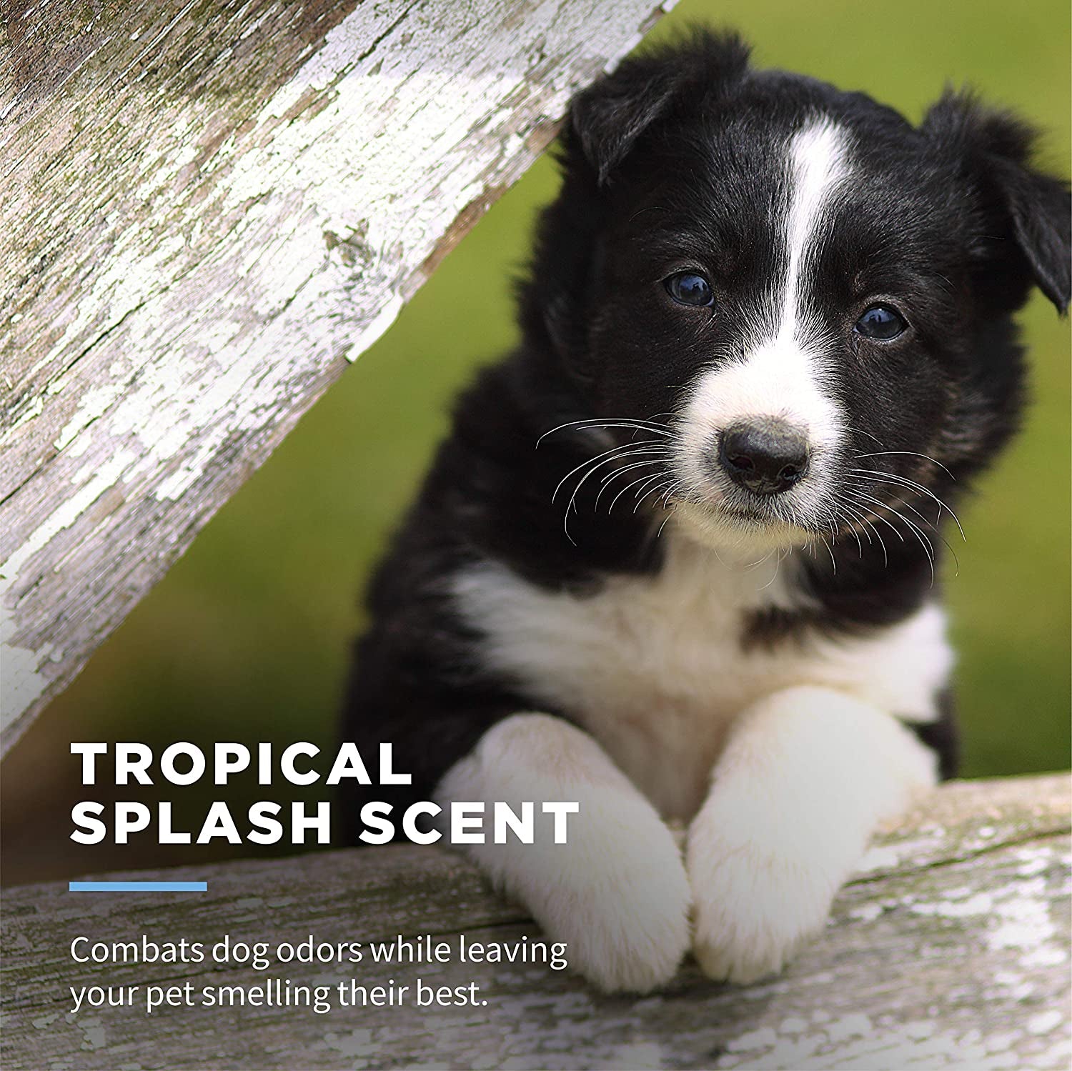 Mild & Soothing Puppy Grooming Wipes in Tropical Splash Scent.