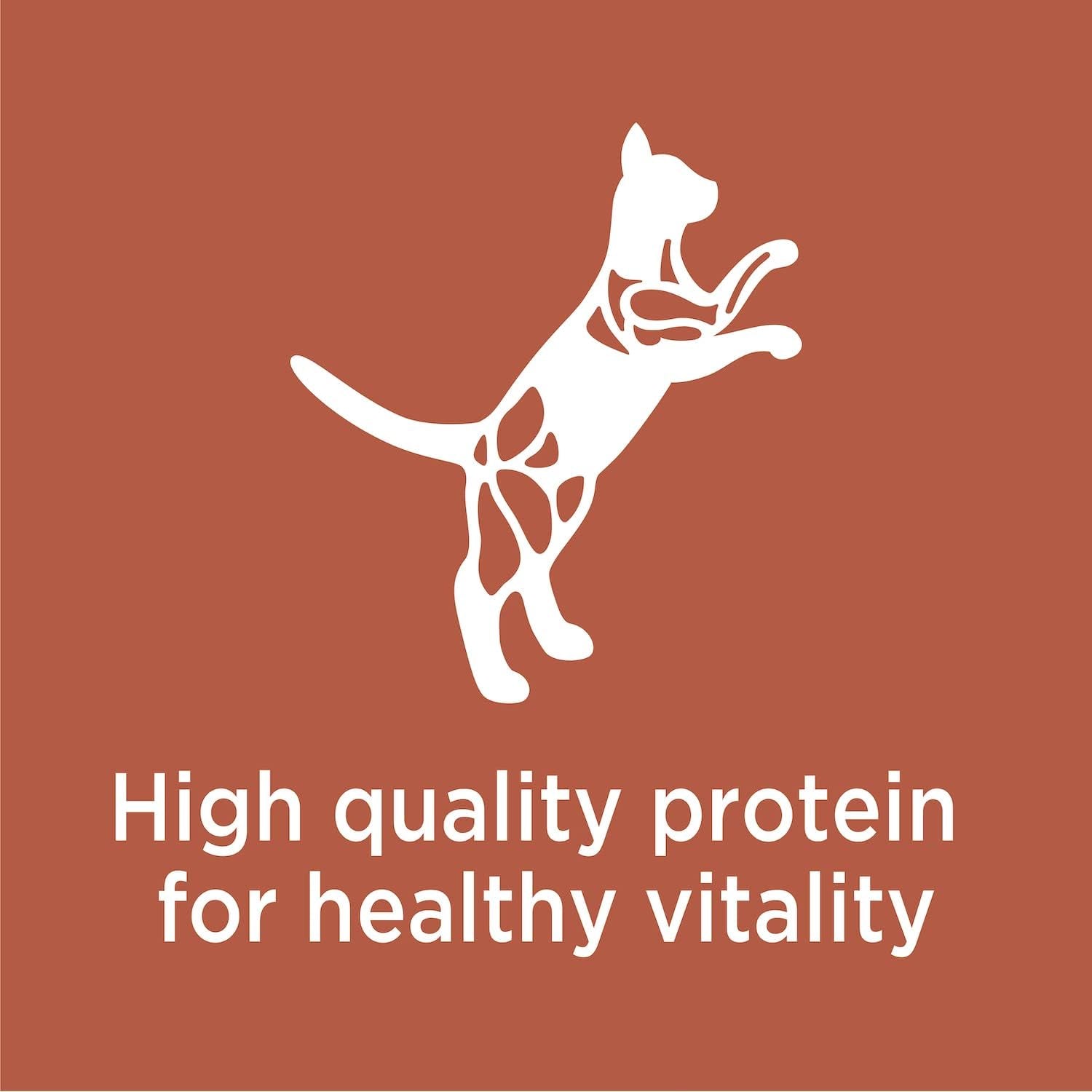 PROACTIVE HEALTH High Protein Adult Dry Cat Food with Chicken & Salmon Cat Kibble, 6 Lb. Bag.