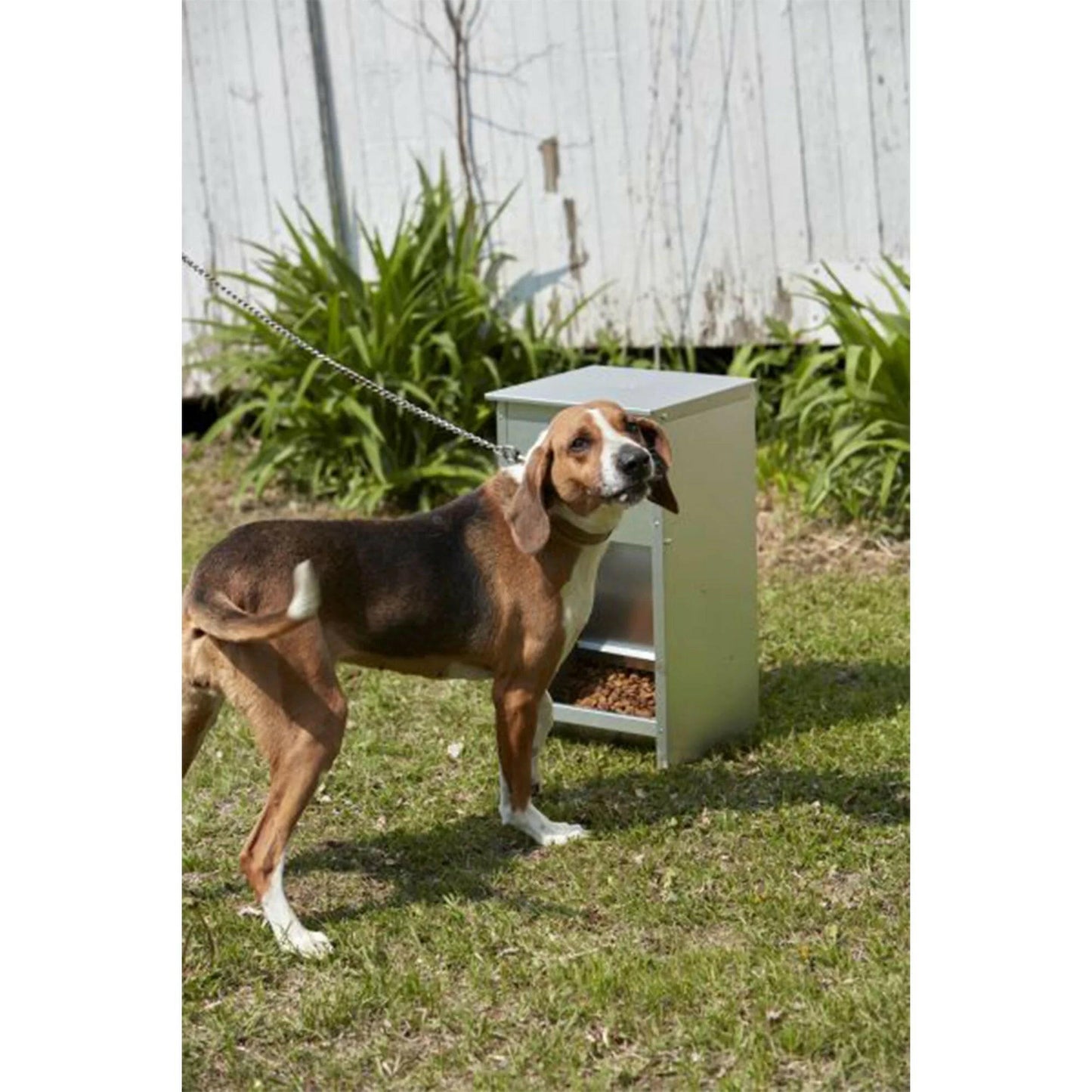 Dry Food Automatic Steel Dog Feeder Chow Hound 25 Pound Capacity