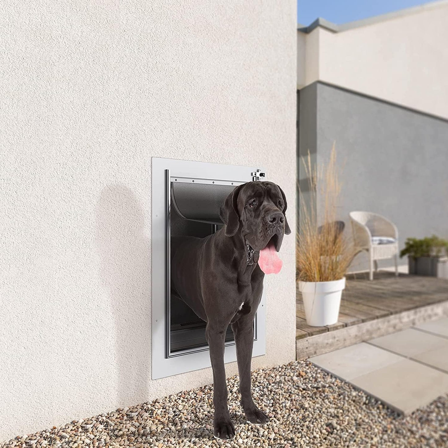 Baboni Wall-Mounted Pet Door – Durable, Secure & Weatherproof Dog & Cat Door 🐶🐱.