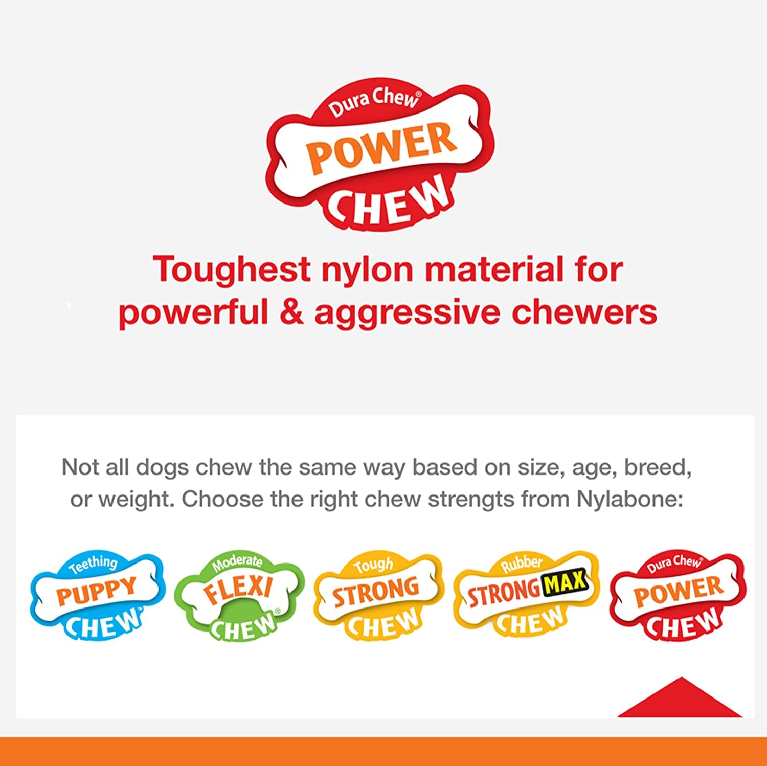 Nylabone Power Chew Dog Toy – Durable, Bacon-Flavored & Dental-Healthy for Aggressive Chewers 🐶🦴.